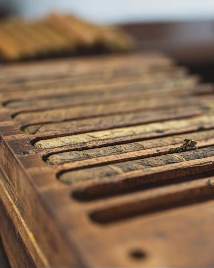 Die Reise nach Hause